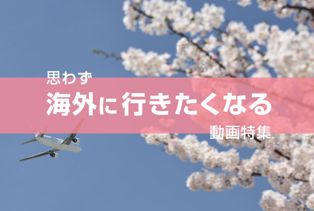 海外に行きたくなる動画
